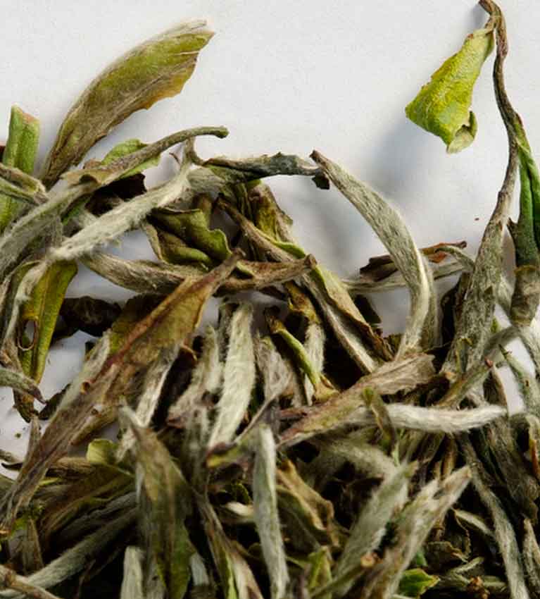 Китайский белый чай Бай Мудан